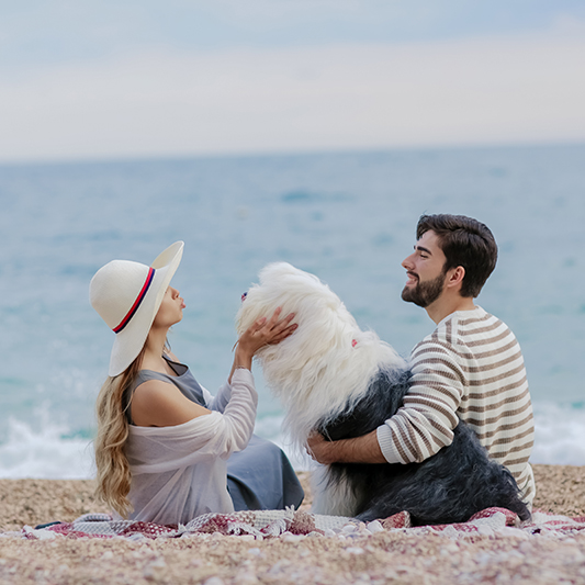 Couple on the beach with a dog